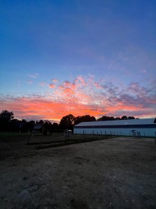 buben koppel sonne